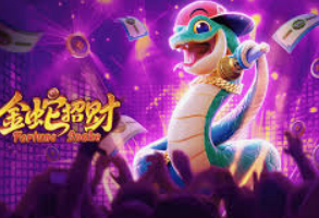 世界杯下单平台网站官网2024最新版