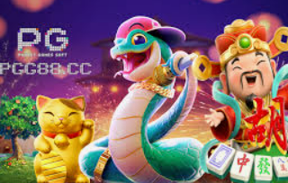 世界杯下单平台网站官网免费版